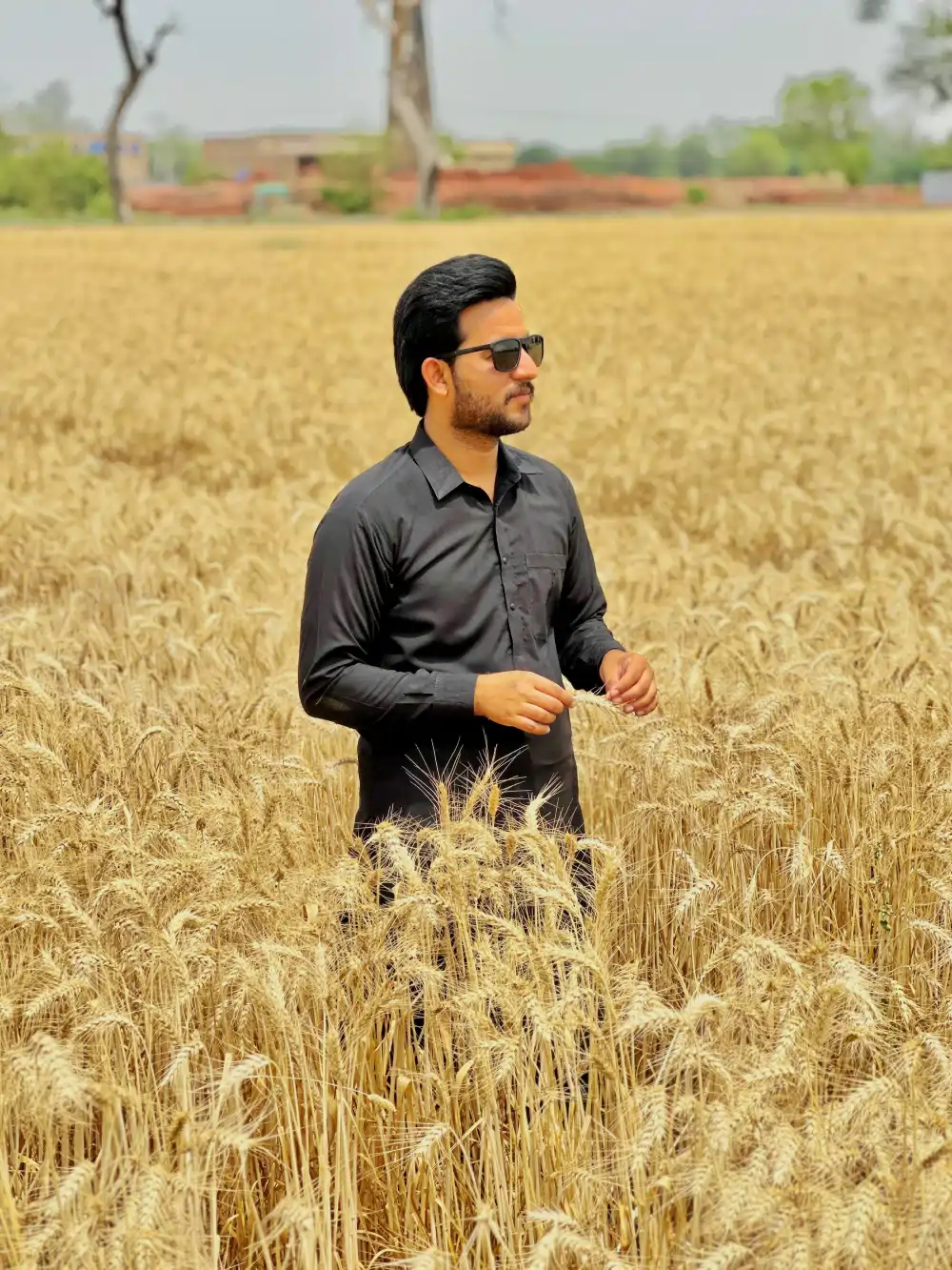 Lasani famr, Anwar Manj